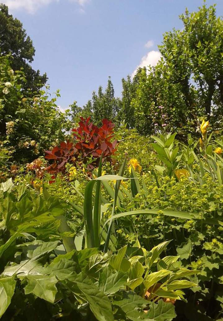 Création d'un jardin paysager Rumilly