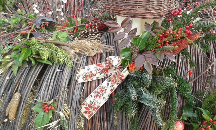 Création d'un jardin de plantes grasses Rumilly