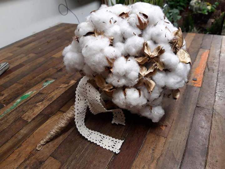 Bouquet de cotonniers Rumilly