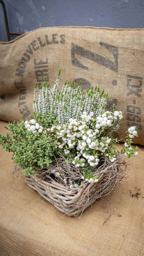 Composition florale Rumilly