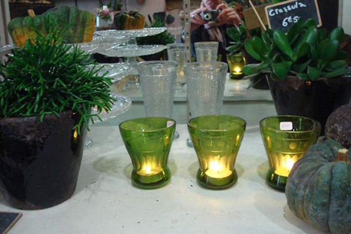 Plantes d'intérieur décoratives Rumilly