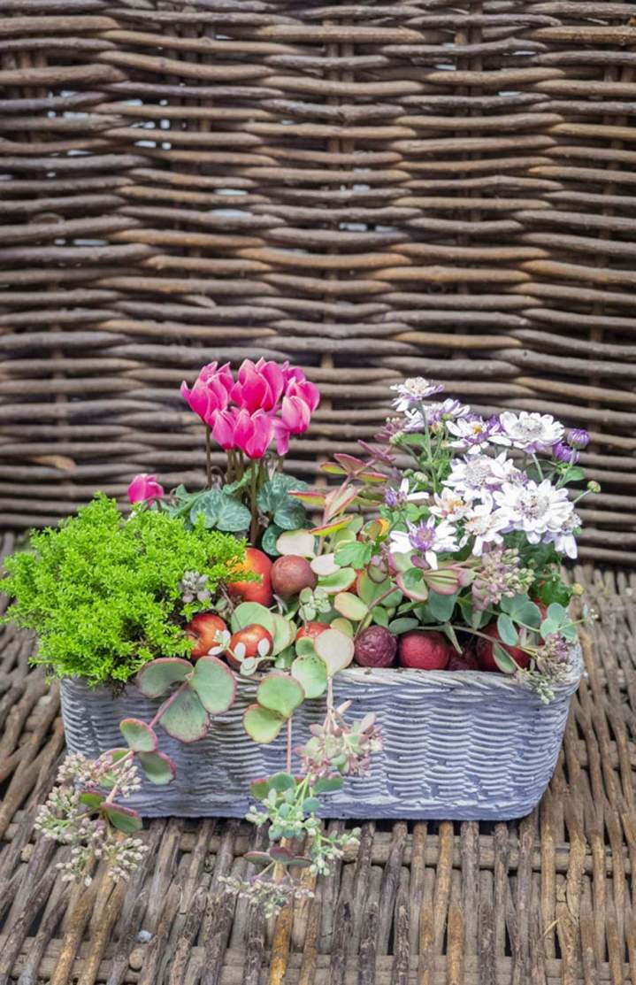 Arrangement floral Rumilly