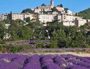 Réalisation d'une guirlande florale Rumilly