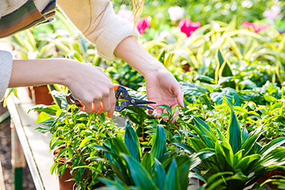 Jardinier paysagiste Rumilly