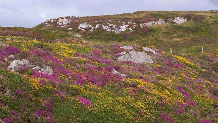 Réalisation d'une guirlande florale Rumilly