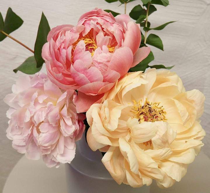 Spécialiste de l'art floral Rumilly